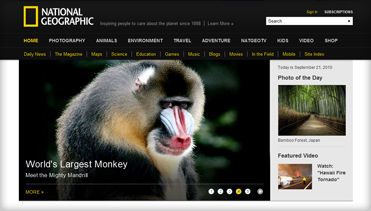 手机攻击器APP下载